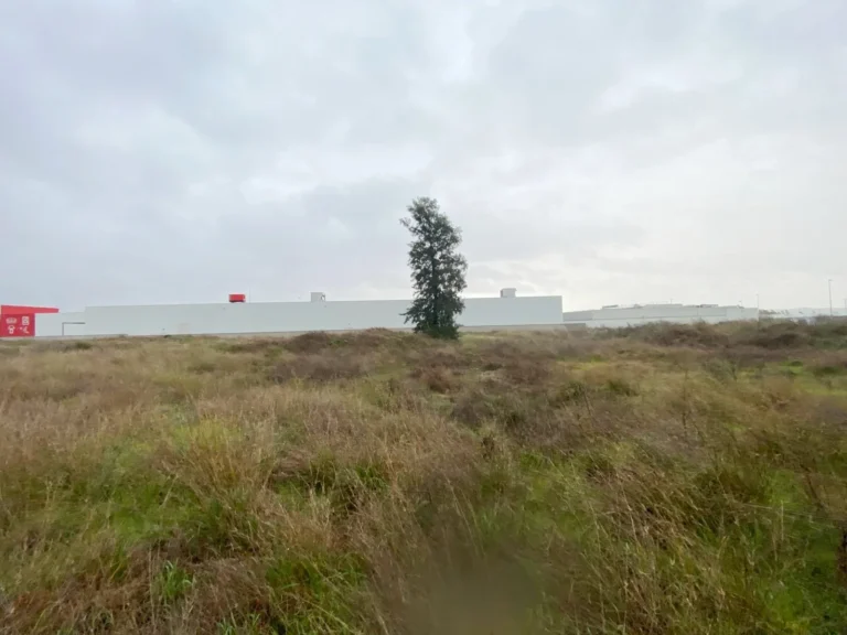 TerrenoCompositorRossini001