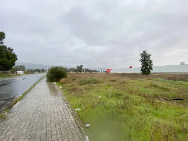 TerrenoCompositorRossini003