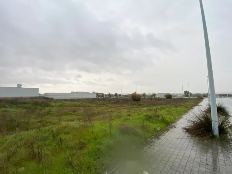 TerrenoCompositorRossini006