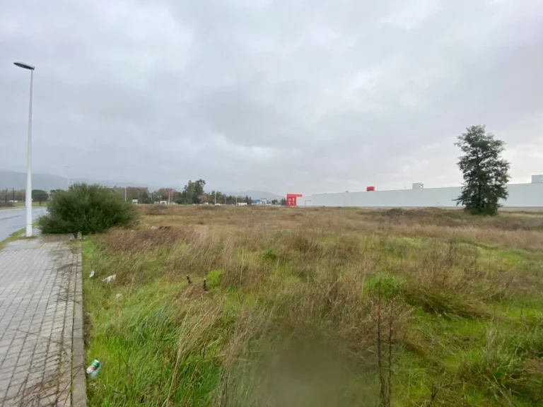 TerrenoCompositorRossini008