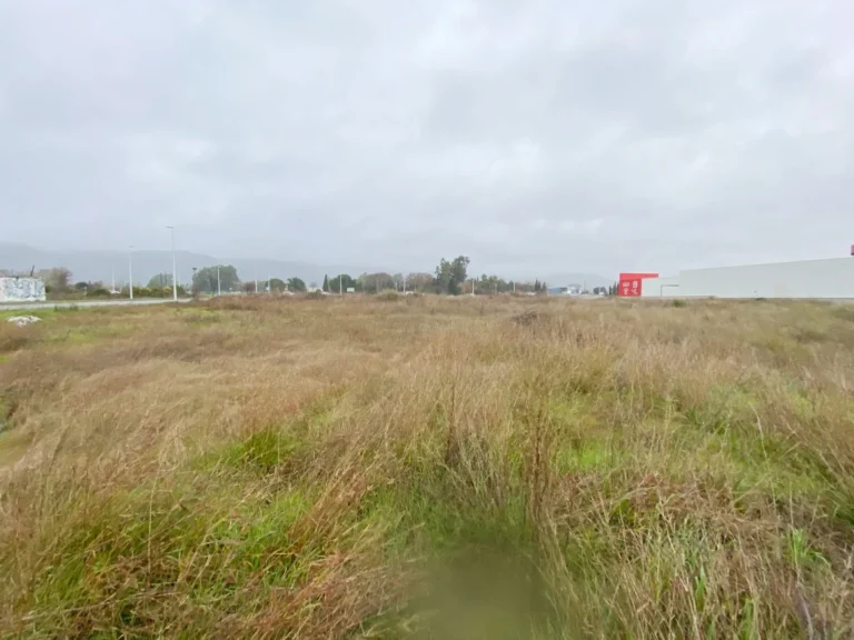 TerrenoCompositorRossini009