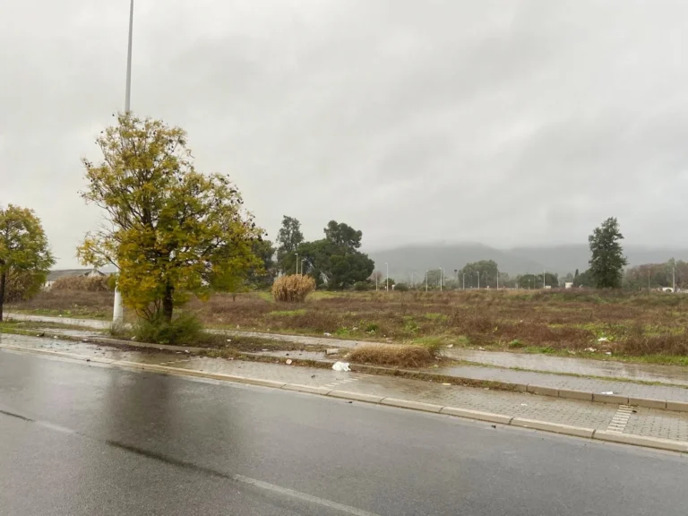 TerrenoCompositorRossini010