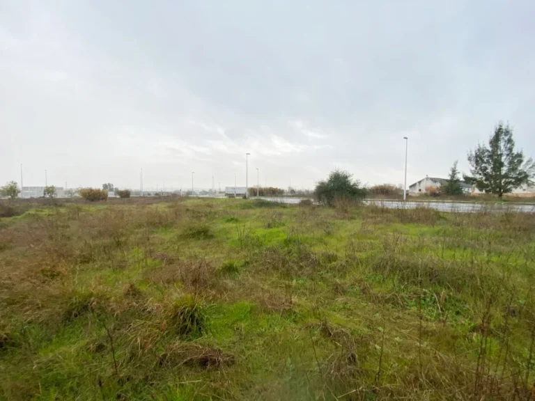 TerrenoCompositorRossini011