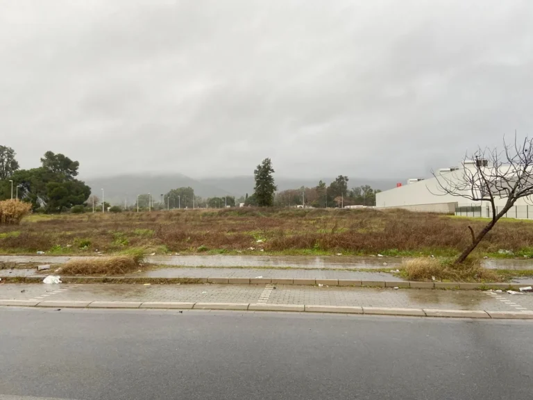 TerrenoCompositorRossini012