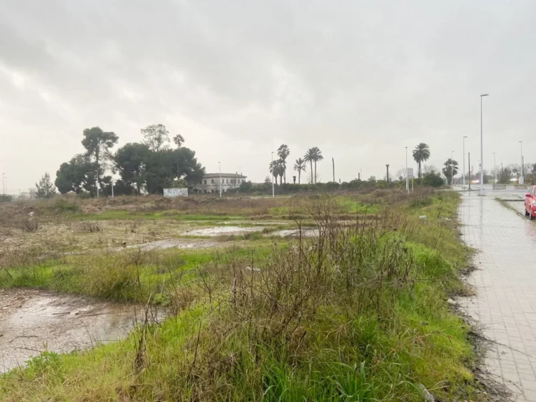 TerrenoCompositorRossini013