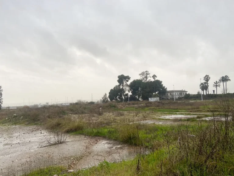 TerrenoCompositorRossini016