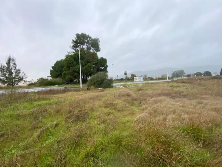 TerrenoCompositorRossini018