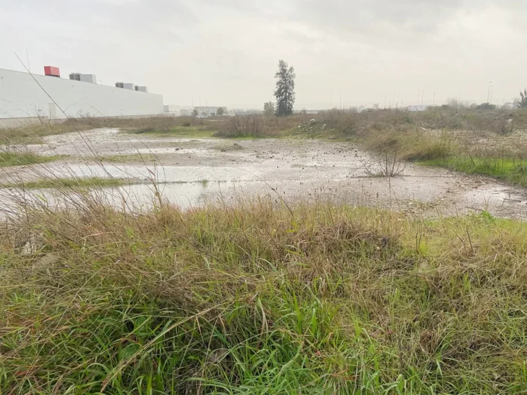 TerrenoCompositorRossini019