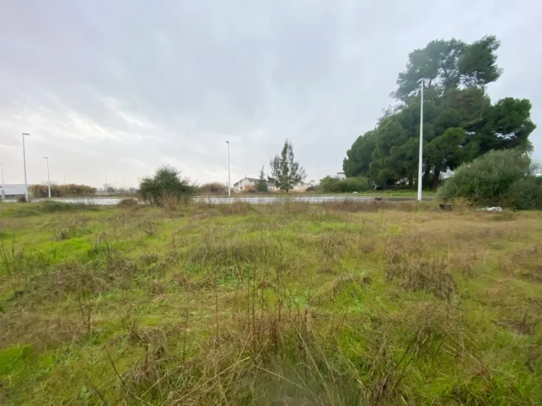 TerrenoCompositorRossini020