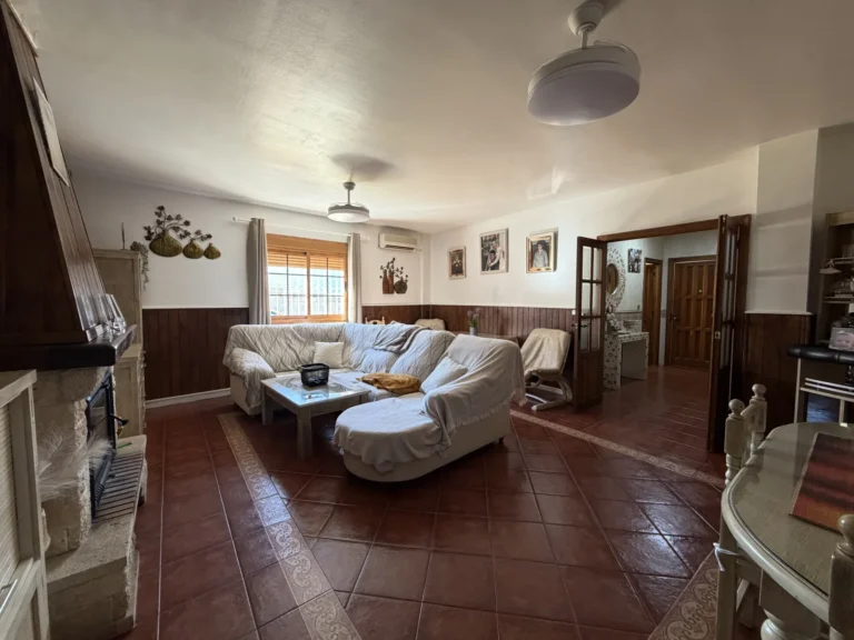 AdosadoClaraCampoamor006